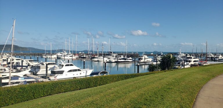 314475950 556833579778182 6811412557602277374 n 768x373