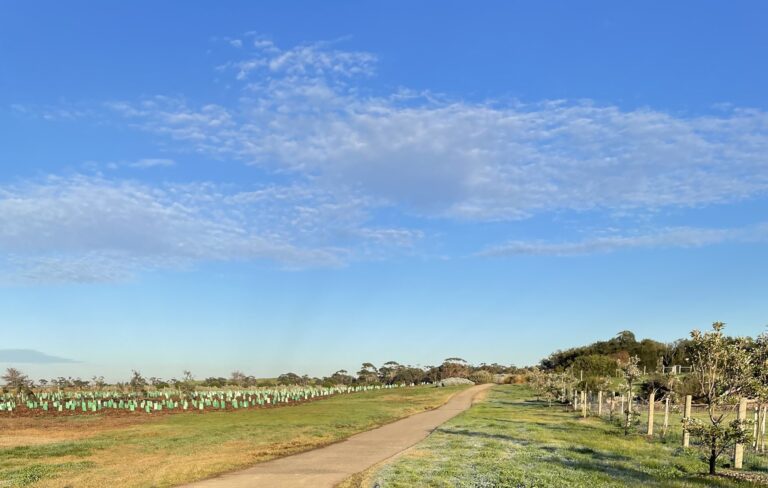 Altona Beach parkrun 768x488