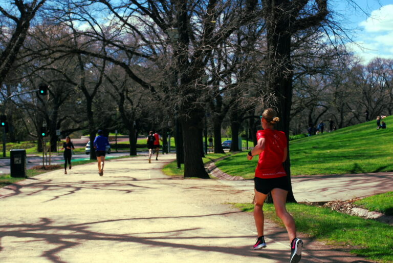 DSC 0047 3746x2504 6093555 1 768x513