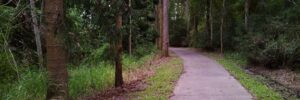 Enoggera Creek Bikeway - Windsor Enoggera Creek Bikeway - Windsor