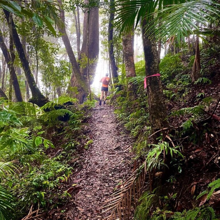 RainforestRun2 768x768