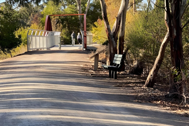 Clare parkrun 1 768x513