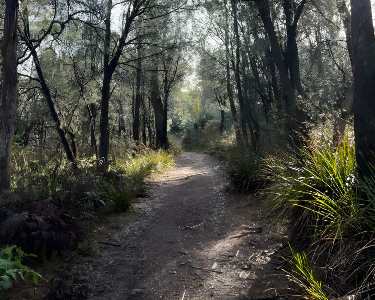 kate reed parkrun 1 768x615