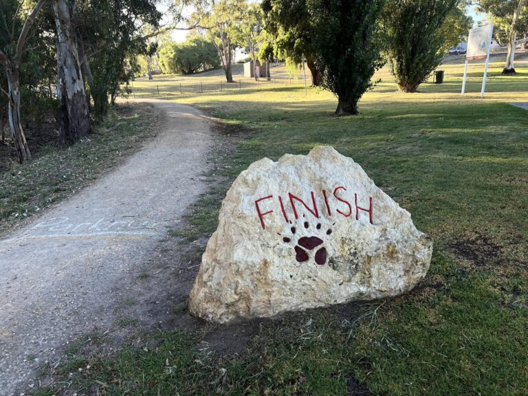 327605789 1315605822630141 3621693783589366625 n 768x576