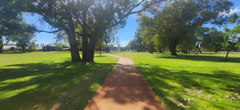 2025 01 02 1 768x355