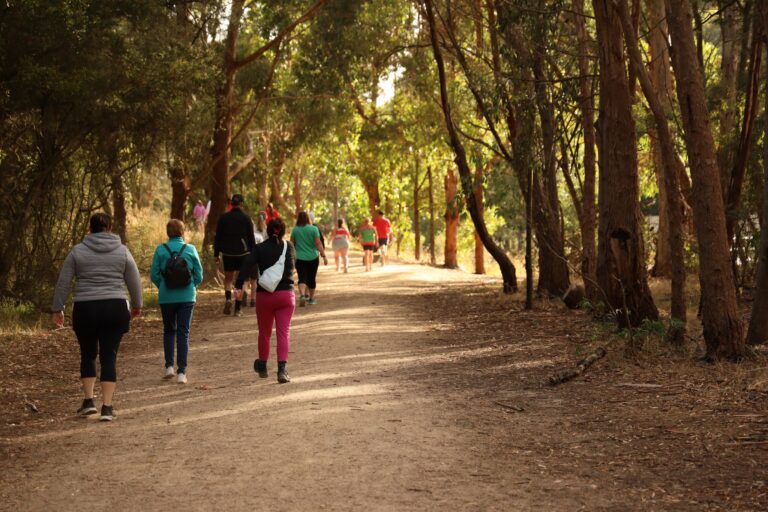 471632945 1212887466839883 3171678749697652023 n 768x512