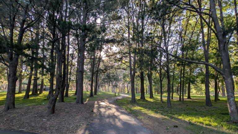 GhiJEc7aoAAA3e0 1 768x432