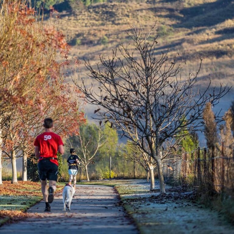 Snapinsta.app 237003214 846735602637744 249252814635497846 n 1080 768x768