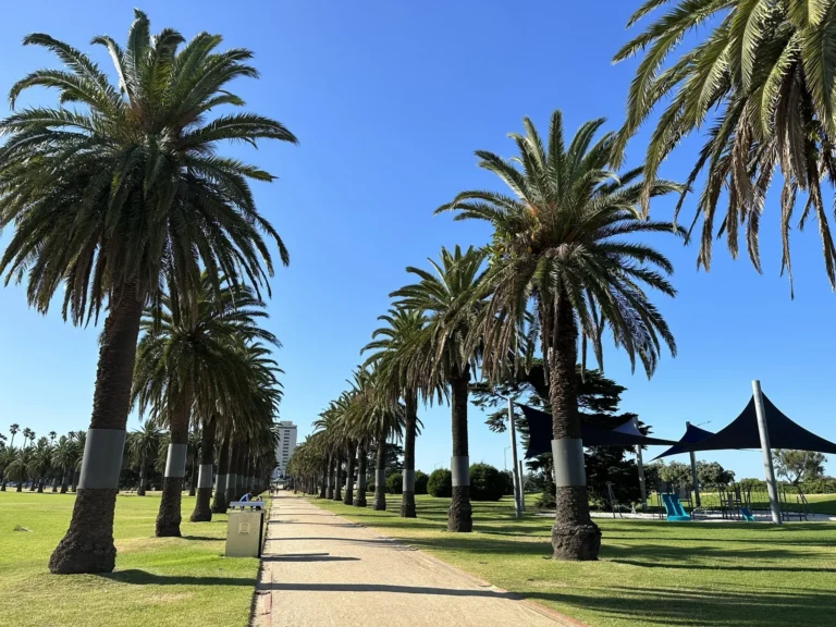 eyJidWNrZXQiOiJhc3NldHMuYWxsdHJhaWxzLmNvbSIsImtleSI6InVwbG9hZHMvcGhvdG8vaW1hZ2UvNzA1Mjk1MzEvMGM4ZWQ0NDIyMDcwNjgxNjQzYWQ2MzQxYmMzMzBlODguanBnIiwiZWRpdHMiOnsidG9Gb3JtYXQiOiJ3ZWJwIiwicmVzaXplIjp7IndpZHRoIjoyMDQ4 768x576