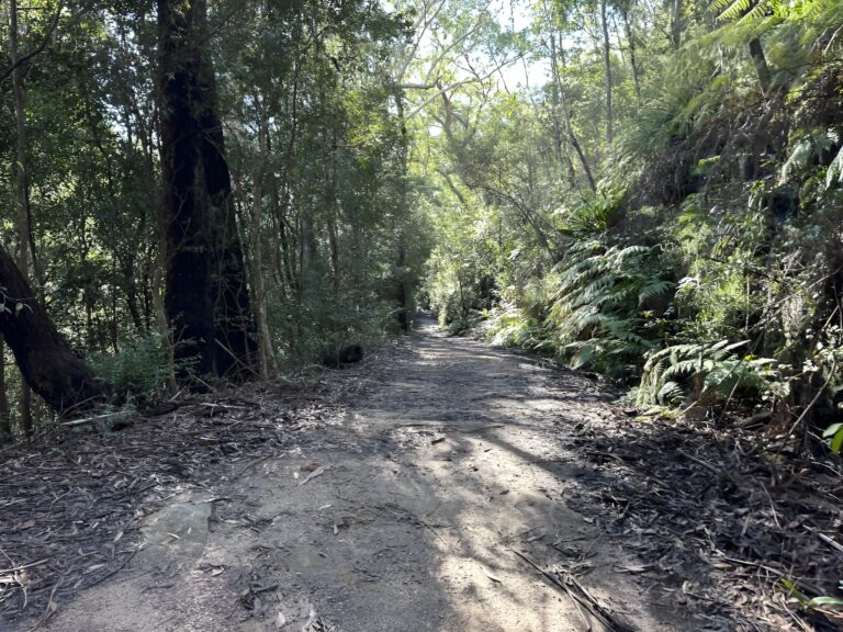 eyJidWNrZXQiOiJhc3NldHMuYWxsdHJhaWxzLmNvbSIsImtleSI6InVwbG9hZHMvcGhvdG8vaW1hZ2UvNzYyMTc2MzIvYWQ5MDVmNWJlZmFhMmEwNGZiZjgwMmNkODMzMGYxYWUuanBnIiwiZWRpdHMiOnsidG9Gb3JtYXQiOiJ3ZWJwIiwicmVzaXplIjp7IndpZHRoIjoy 1 768x576