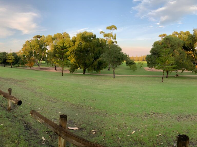 yokinepark 1 768x571